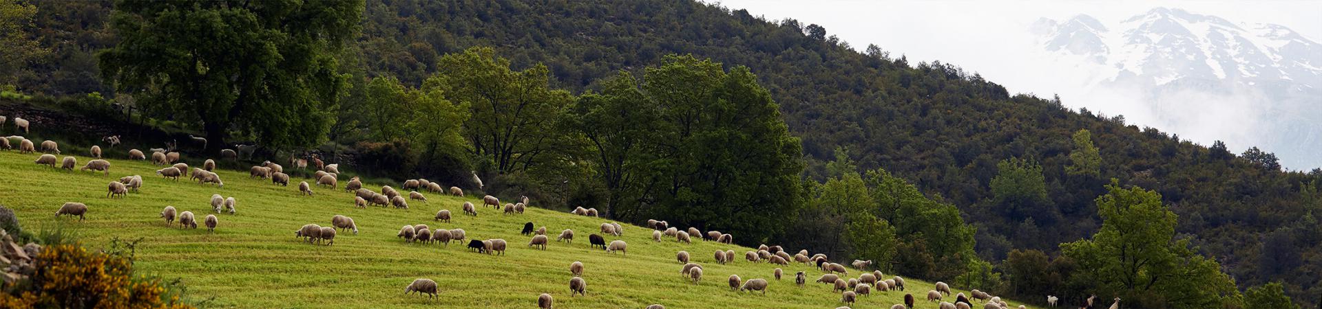 Tracciabilità e trasparenza nel processo