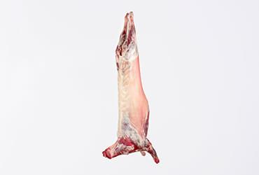 Goat carcass