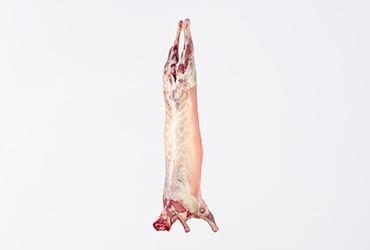 Goat carcass