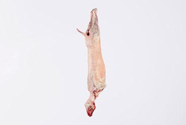 Lamb carcass, with head