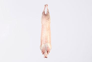 Lamb carcass, with caul