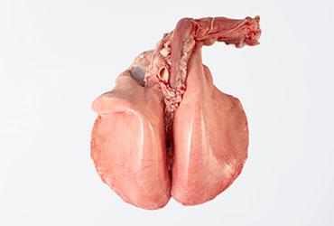 Lamb lung