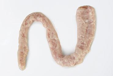 Lamb large intestine